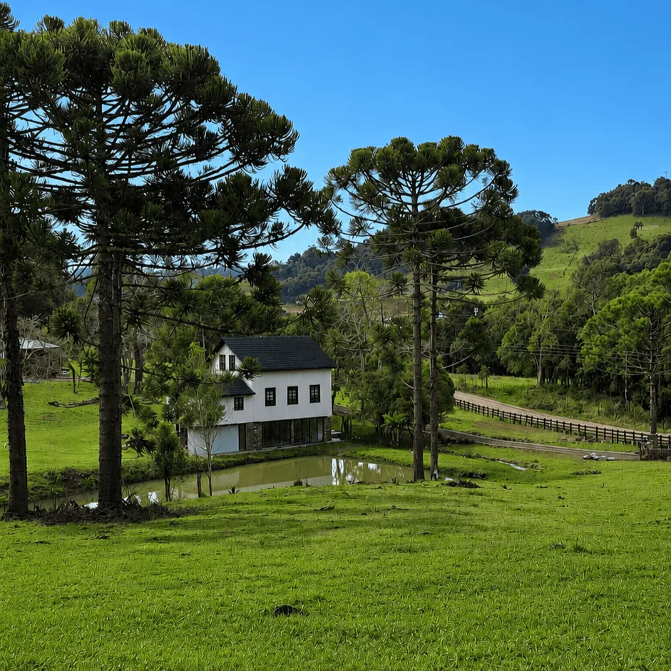 Casarão branco entre araucárias, à beira do lago da propriedade